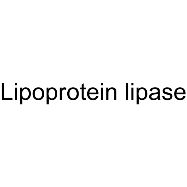 Lipoprotein lipase (LPL) 9004-02-8